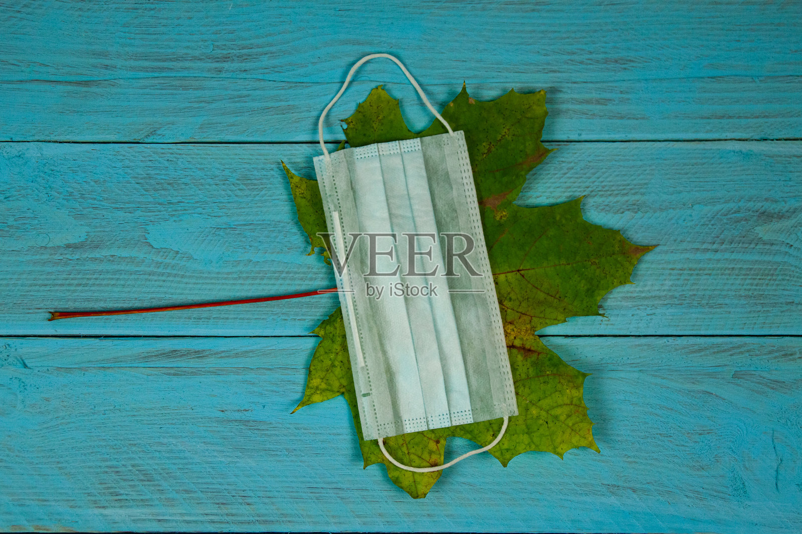 绿色枫叶和医用口罩照片摄影图片