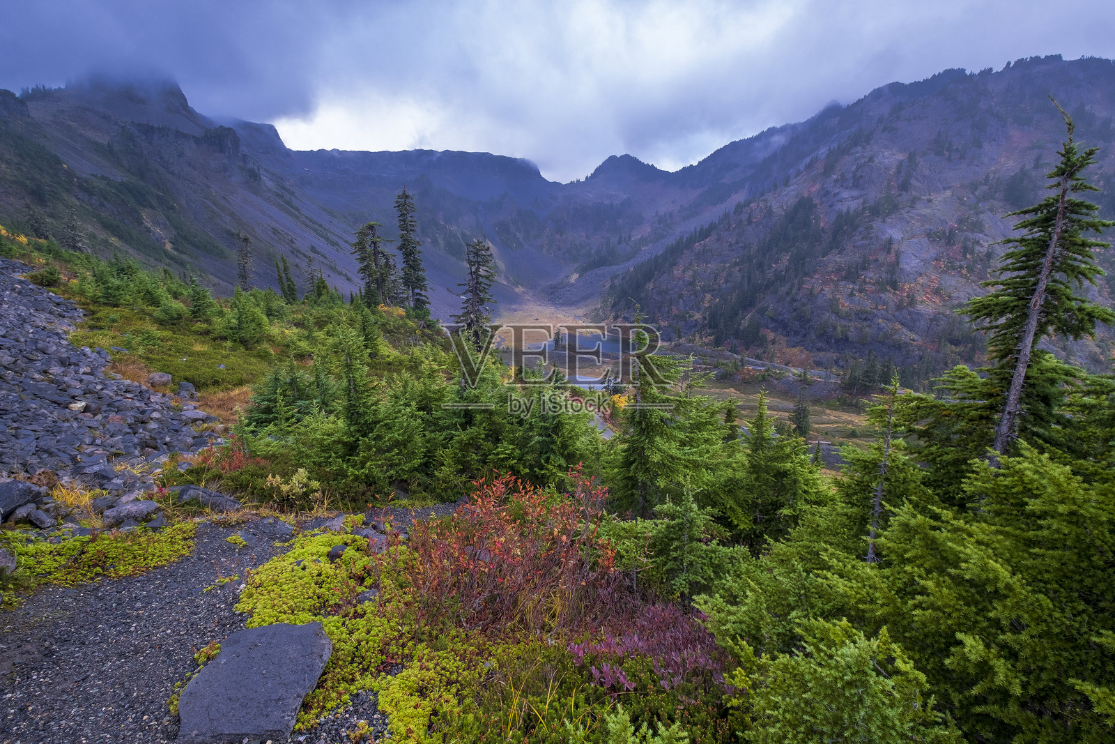 华盛顿州贝克山的海瑟草甸高山苔原的鸟瞰图照片摄影图片