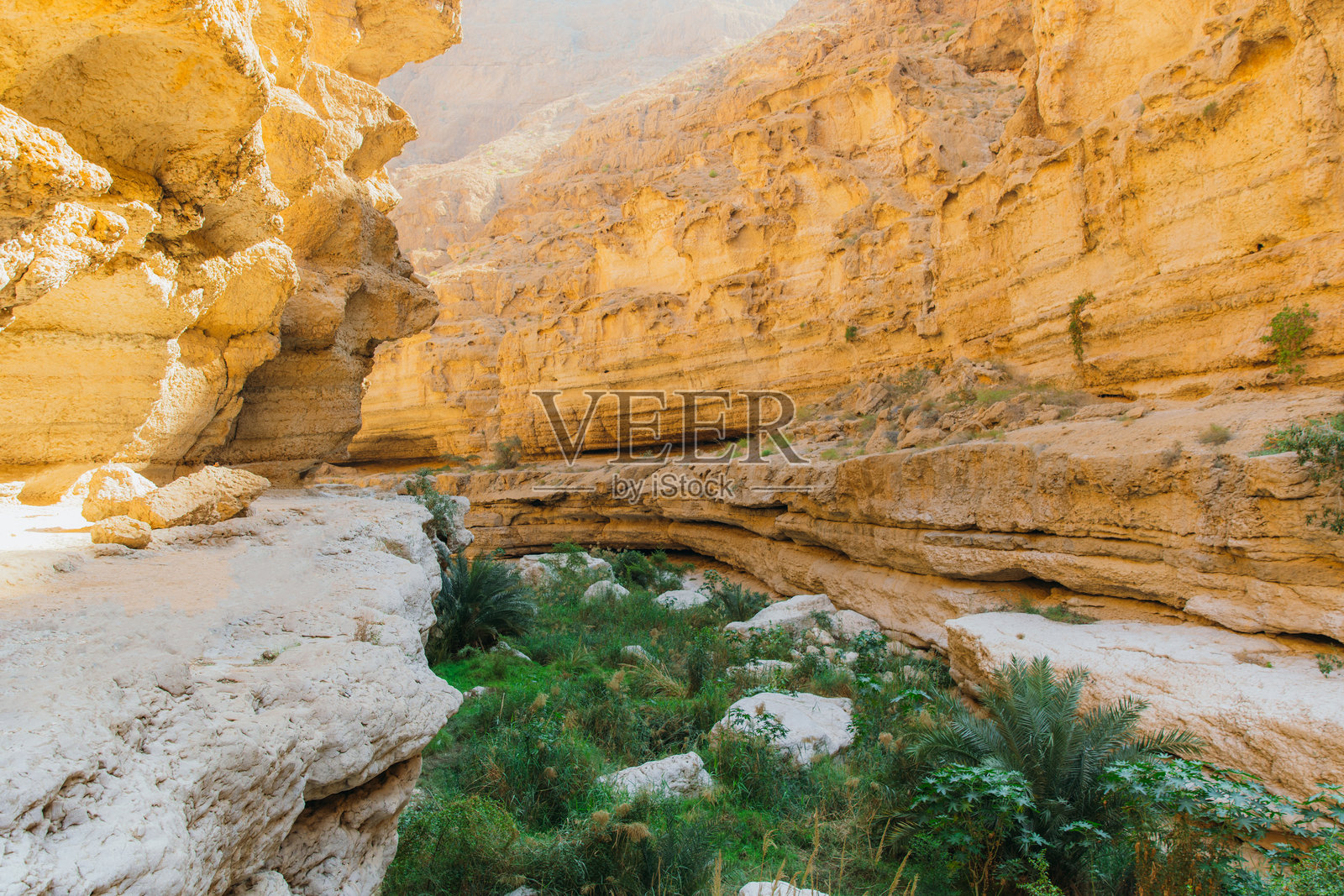 壮丽的沙漠风光：阿什沙布峡谷与碧绿色河流照片摄影图片