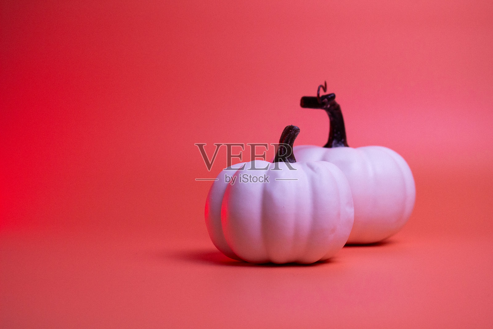 白色南瓜在橙色背景上。红色和橙色的叶子。秋天的氛围。照片摄影图片