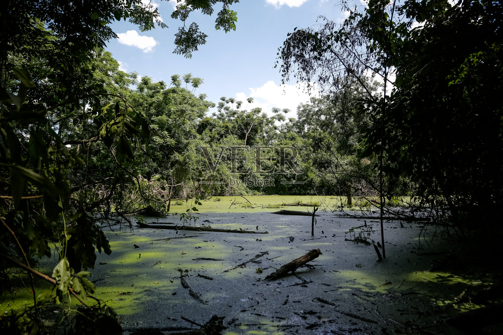 从高处俯瞰的自然环境中，开放的污水与植被覆盖的区域。照片摄影图片