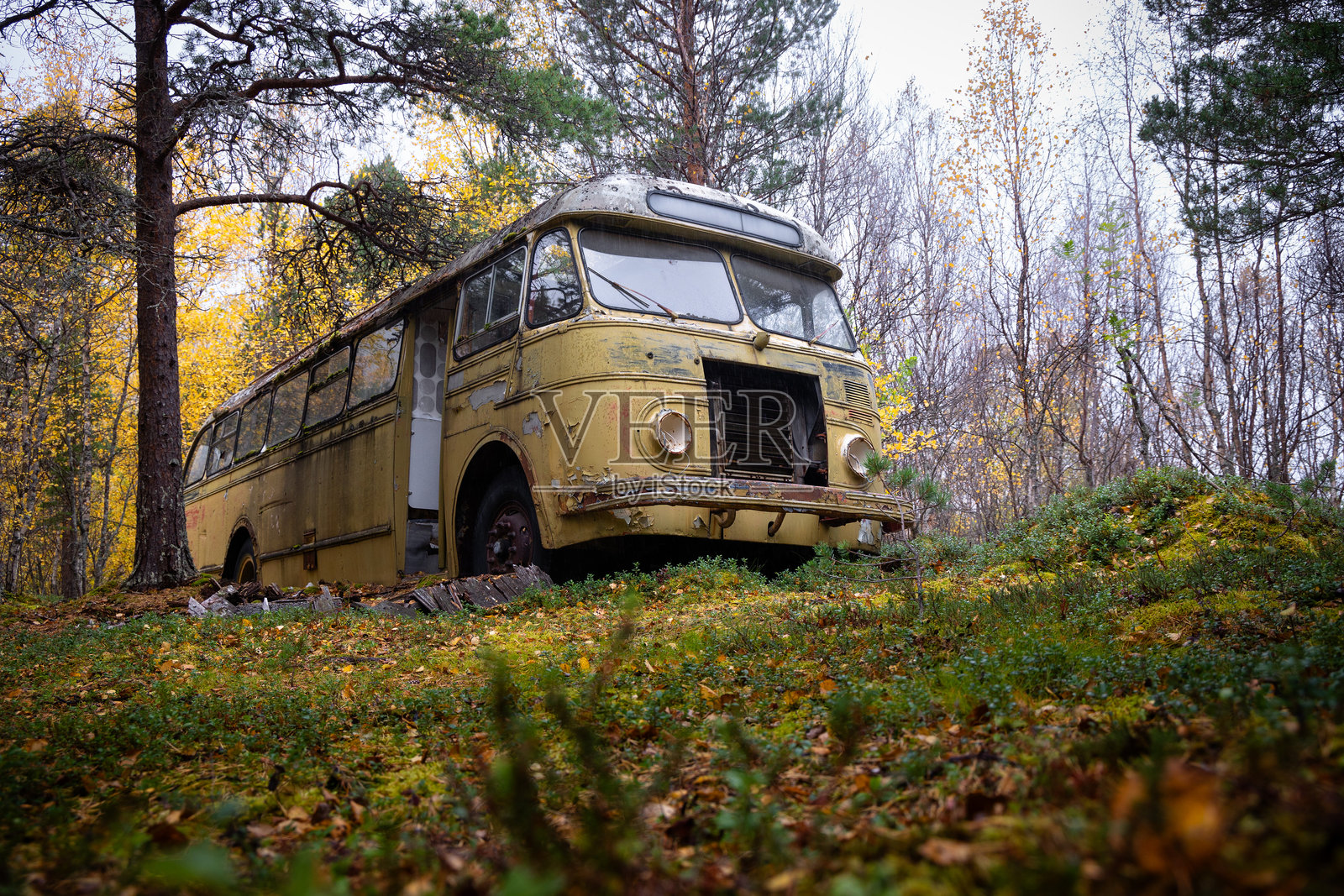 一辆旧的、被遗弃的、锈迹斑斑的公交车留在北挪威的森林中。魔法公交车。照片摄影图片