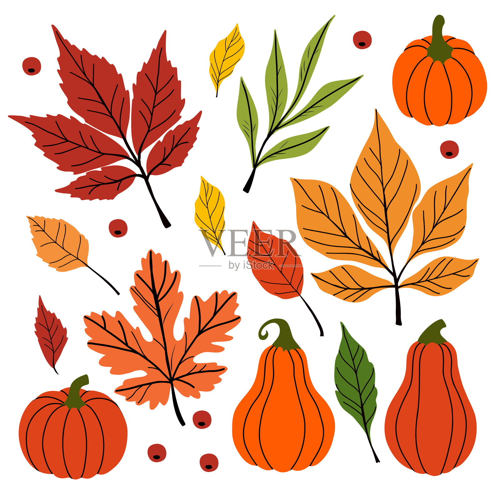 插图秋叶。扁平风格插画图片素材