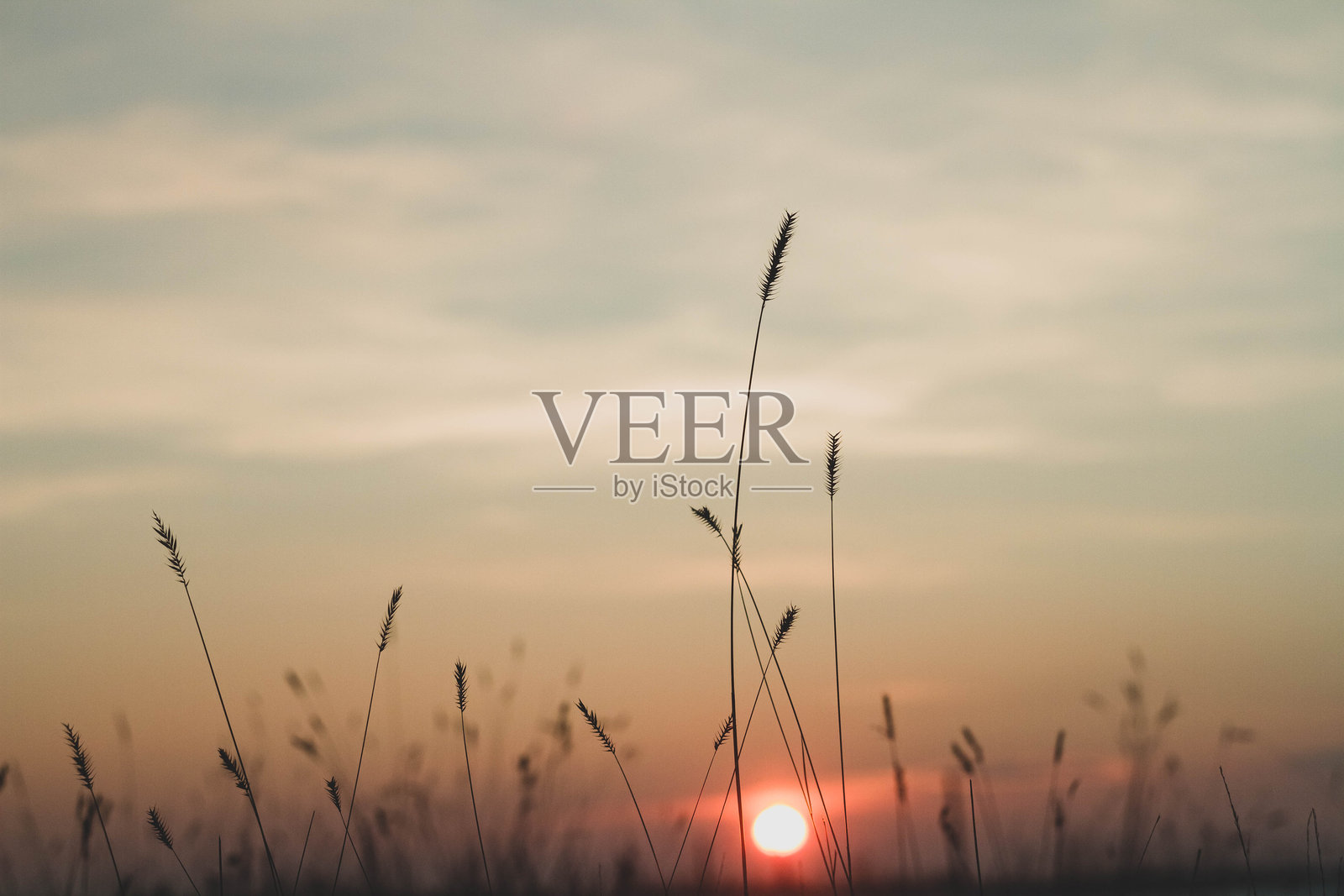 寒冷冬季的田野日落。雪白沙漠中的美丽日落。冰与阳光。照片摄影图片