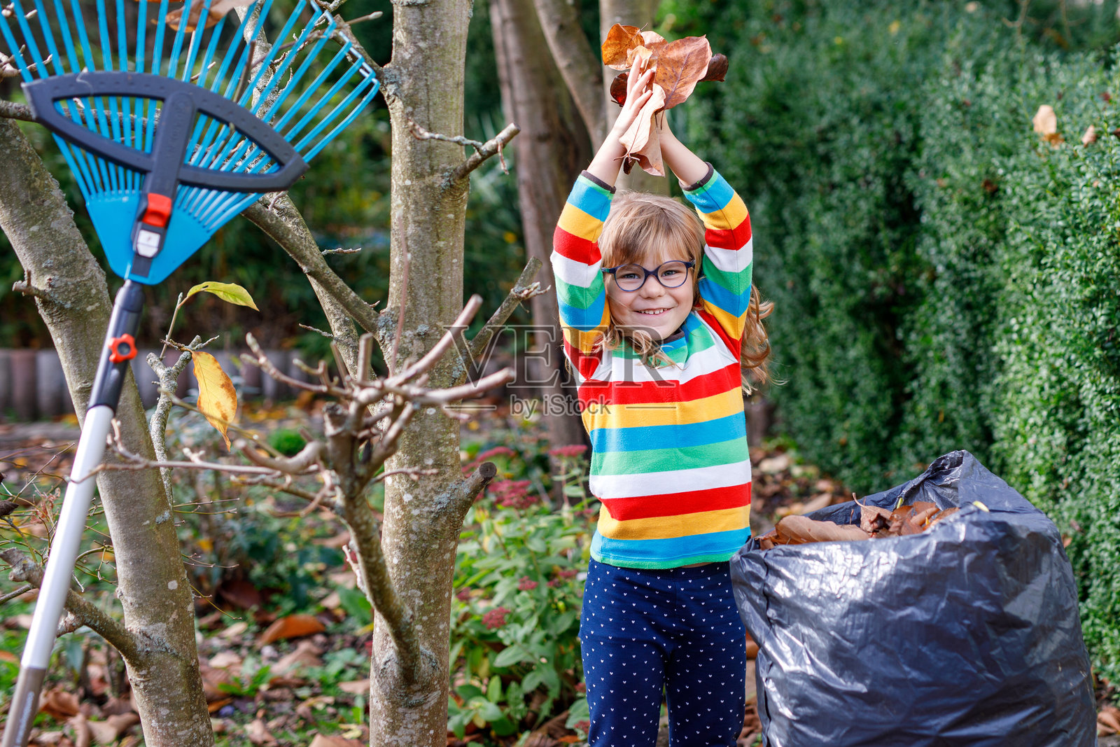 小女孩在秋天的花园里用耙子工作。可爱、快乐、健康的孩子在帮助清理树上掉落的叶子，享受乐趣。户外的小帮手，孩子在学习如何帮助父母。照片摄影图片