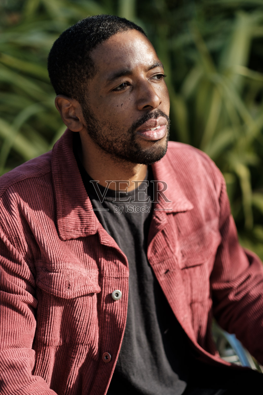 沉思的男人坐在户外沉思自然照片摄影图片