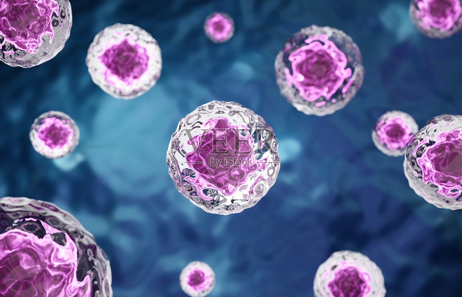 干细胞研究。显微镜下的干细胞。细胞治疗照片摄影图片