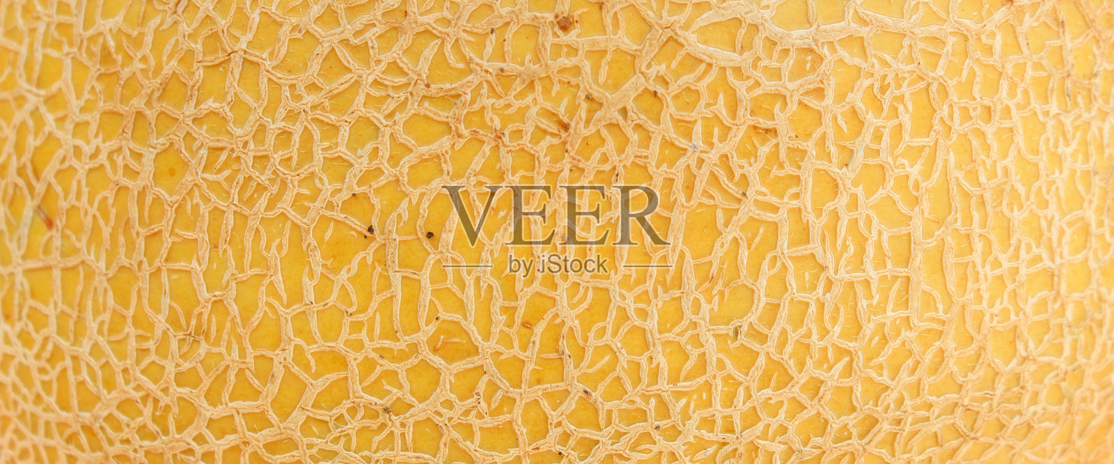 瓜皮纹理特写。抽象的瓜皮图案照片摄影图片