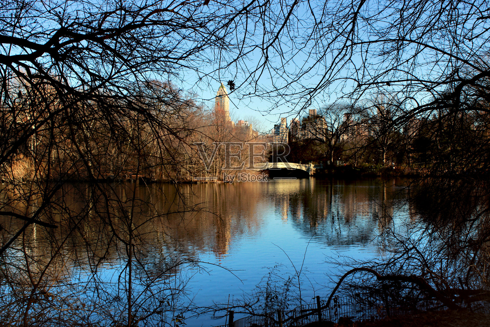 纽约 - 中央公园 - 弓桥照片摄影图片