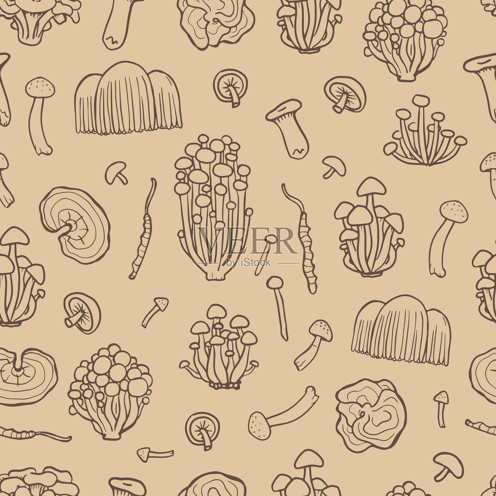 药用蘑菇。米色背景上的真菌无缝图案。包含白玉菇、榛蘑、香菇、虫草、火鸡尾和狮子鬃蘑菇的插图。照片摄影图片