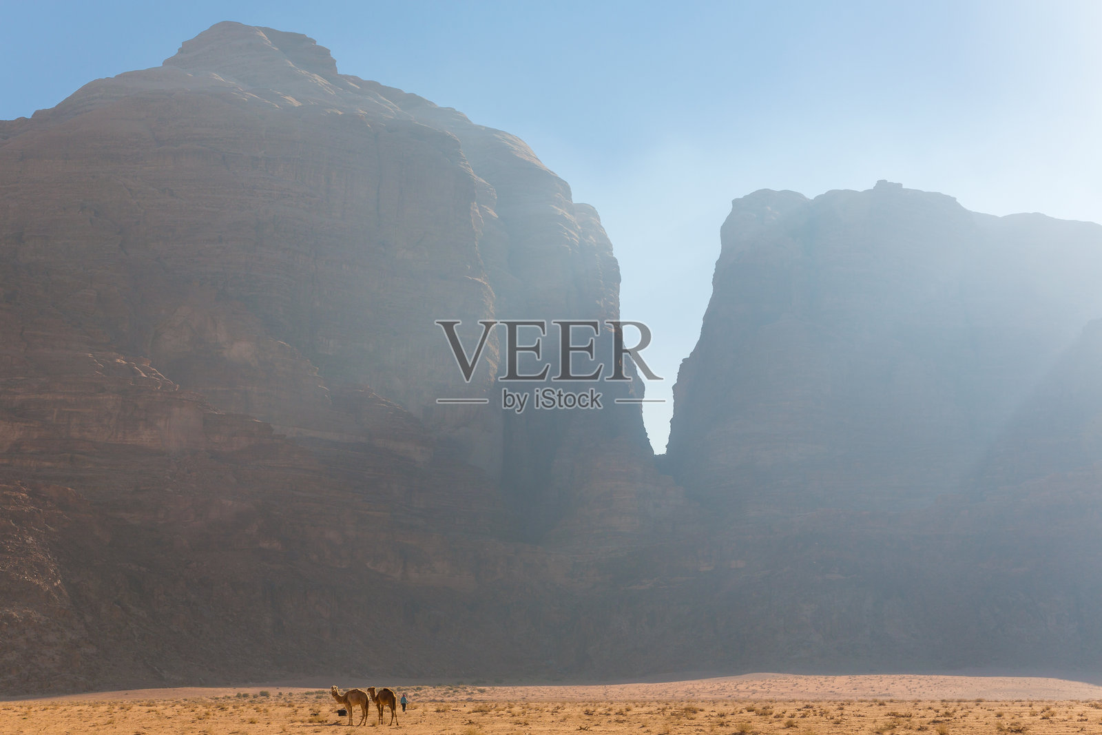 约旦瓦迪拉姆沙漠中的骆驼照片摄影图片