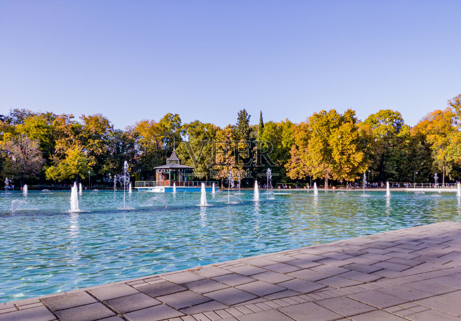 公园里湖泊、树木和蓝天的景色照片摄影图片