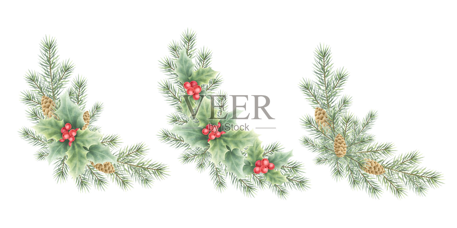 圣诞冷杉树枝、松 cones 和冬青浆果及叶子的水彩插图，手绘角落构图套件，适用于新年冬季节日贺卡模板和设计。照片摄影图片