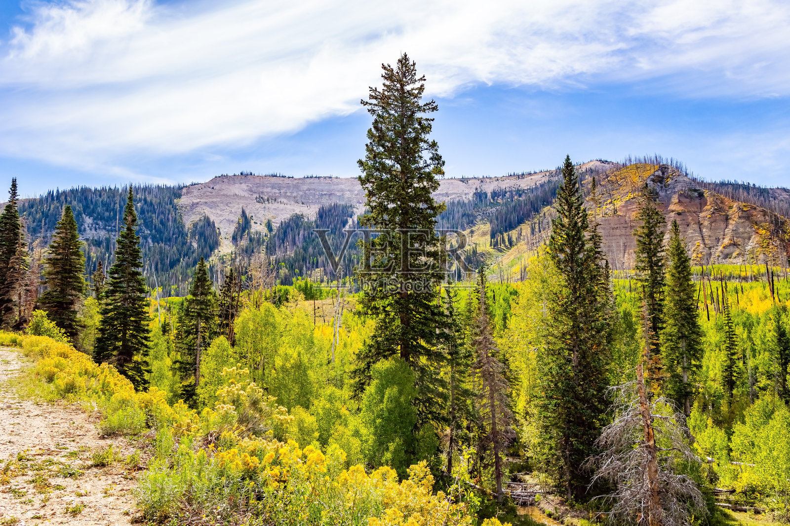 美国西部之旅。照片摄影图片