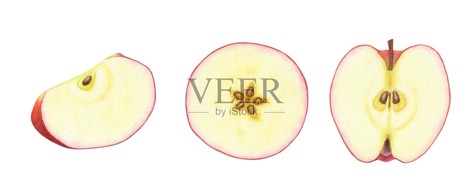 一组切半的红苹果，背景为纯色。美丽多汁的成熟水果。甜美的有机健康食品。手绘水彩植物插图。用于设计、卡片、包装、标签、菜单、食谱和广告的剪贴画。照片摄影图片