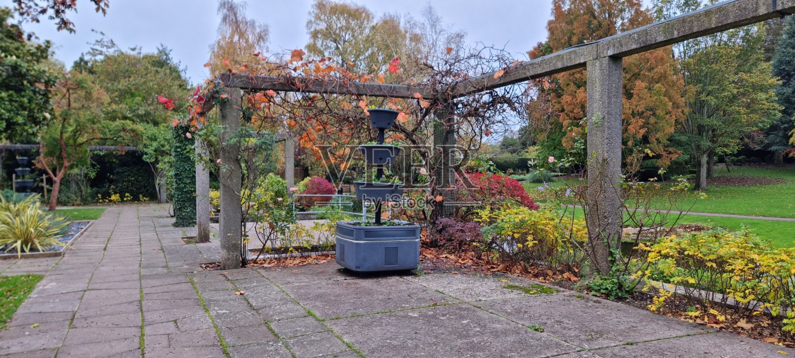 自然照片摄影图片