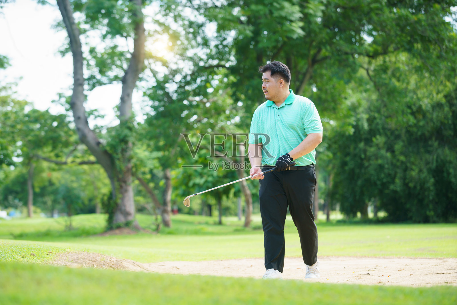 男子在早晨打高尔夫球。照片摄影图片