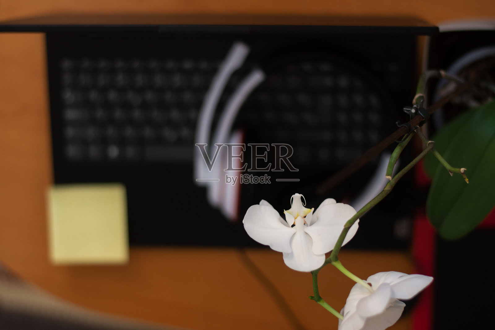 笔记本电脑键盘上的空白便条照片摄影图片