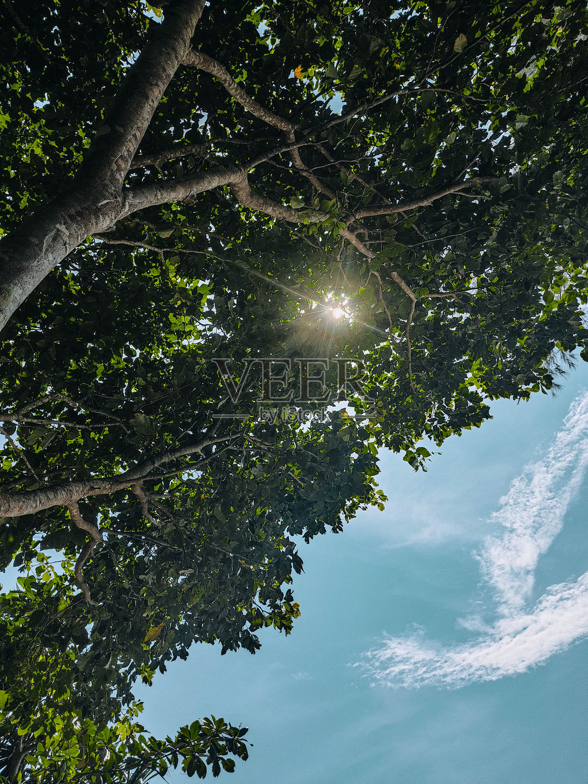 查奥迈国家公园是外国游客的热门旅游目的地照片摄影图片