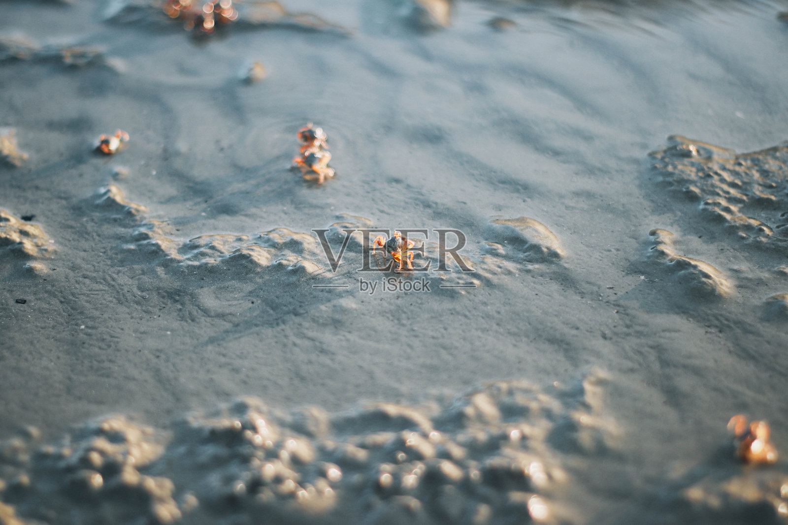 查奥迈国家公园是外国游客的热门旅游目的地照片摄影图片