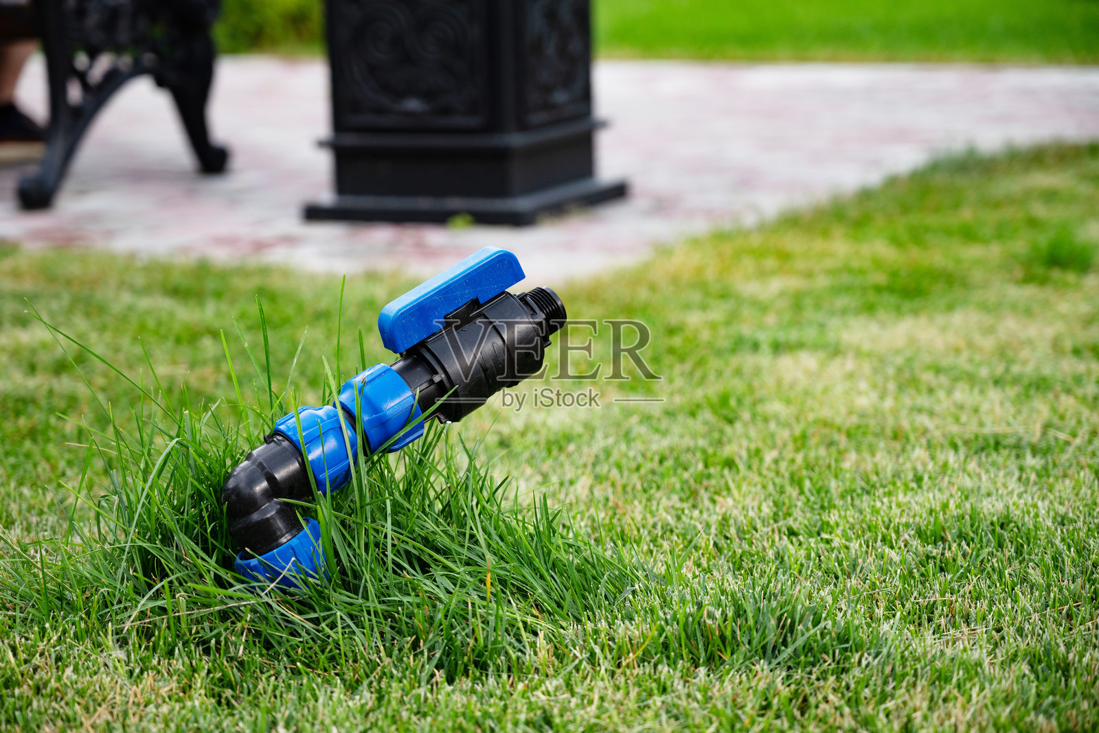 郁郁葱葱的草坪上的喷灌系统特写。照片摄影图片
