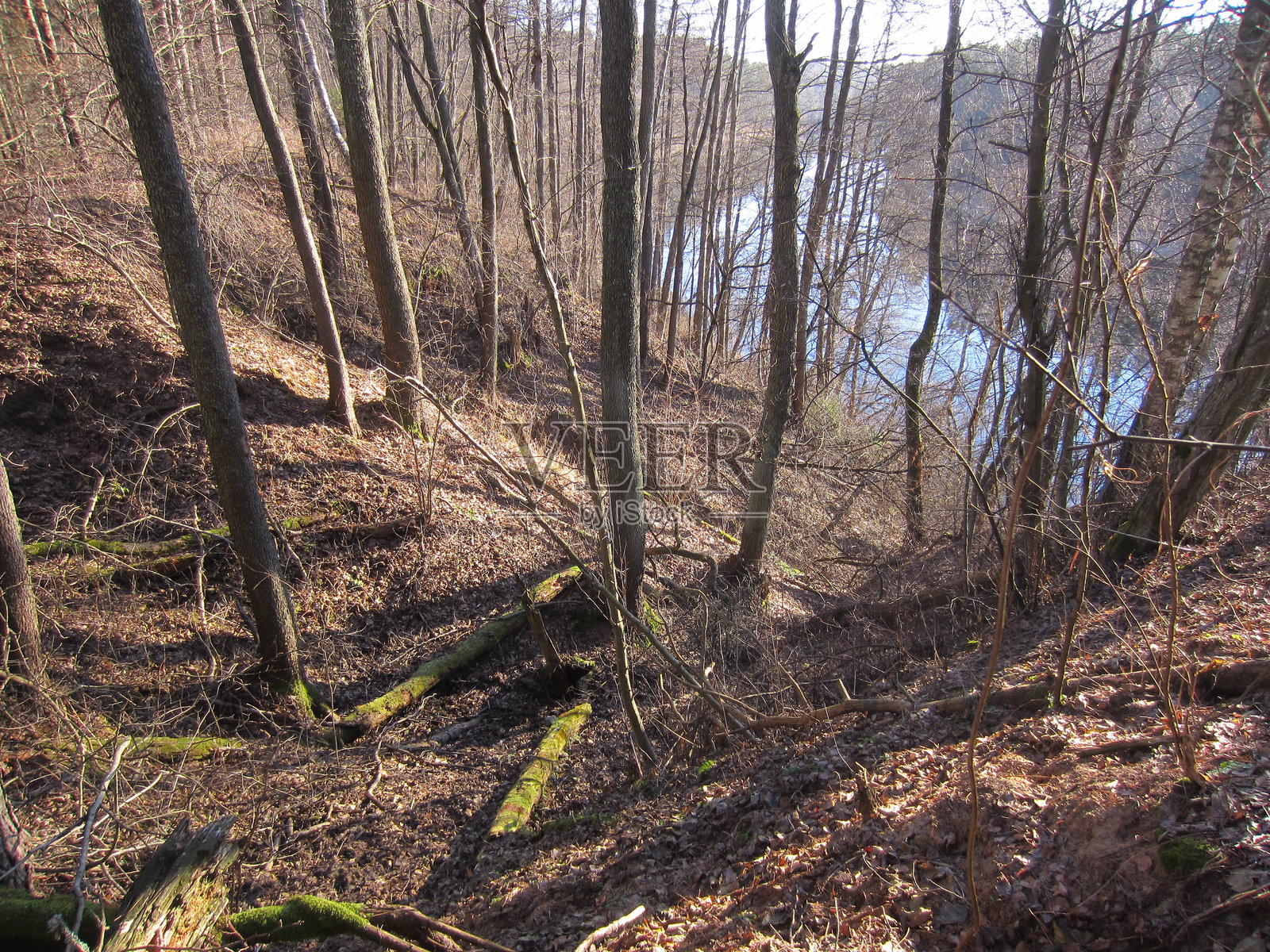白俄罗斯的无雪圣诞时光，尼里斯-维利亚河上方照片摄影图片