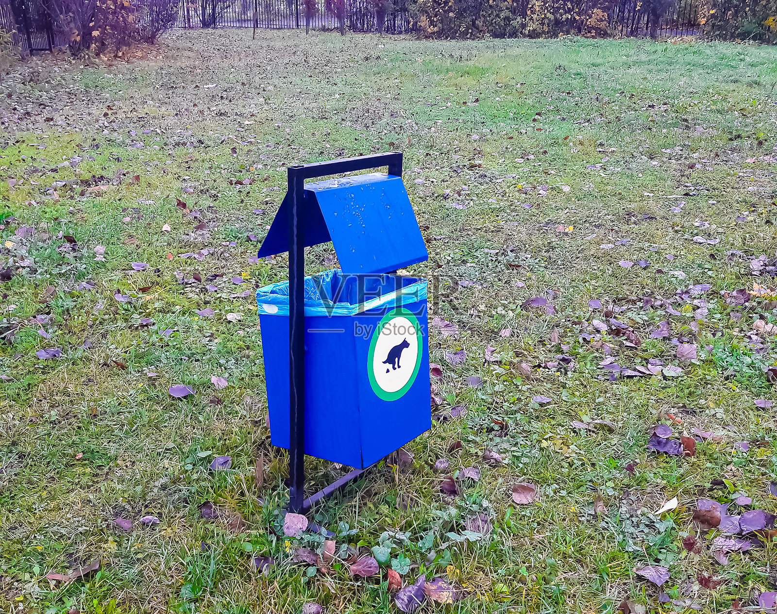 秋季公园里的狗便便箱照片摄影图片