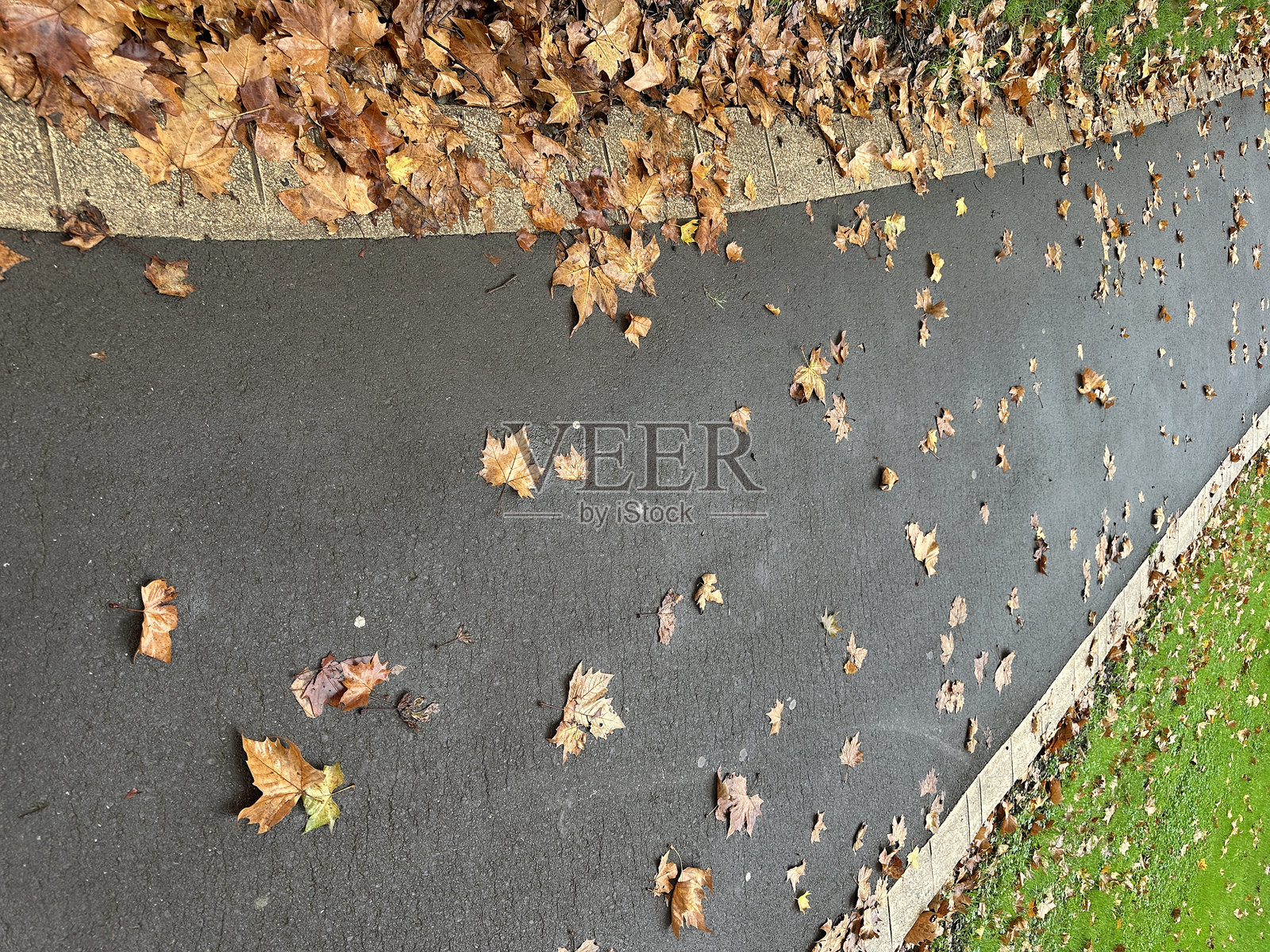 秋天照片摄影图片