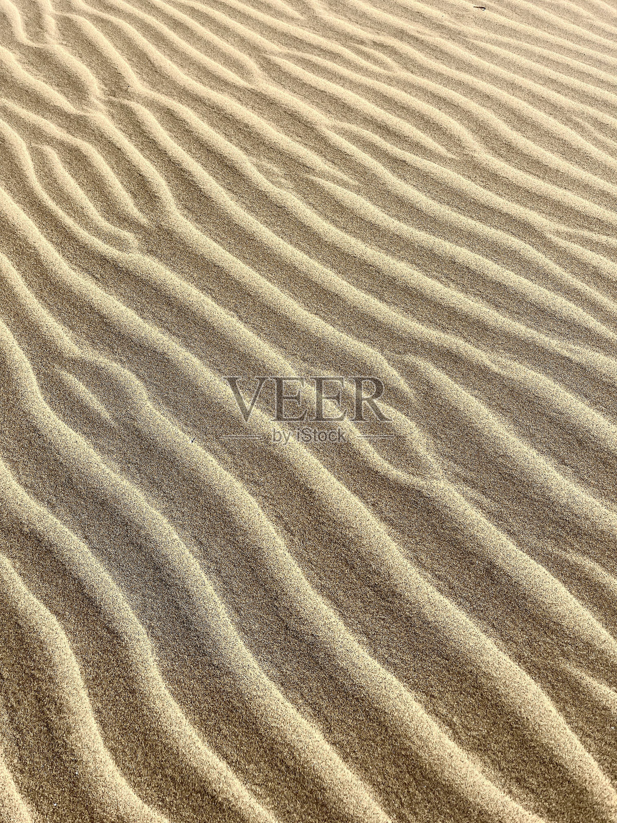 拉斯帕尔马斯·德·格兰卡纳里亚的马斯帕洛马斯沙丘沙漠纹理特写，西班牙加那利群岛。旅游和观光格兰卡纳里亚，加那利群岛，西班牙。西班牙旅行概念。照片摄影图片