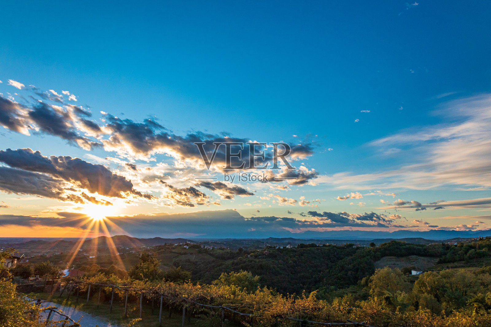 意大利和斯洛文尼亚边界的葡萄园中五彩斑斓的日落照片摄影图片