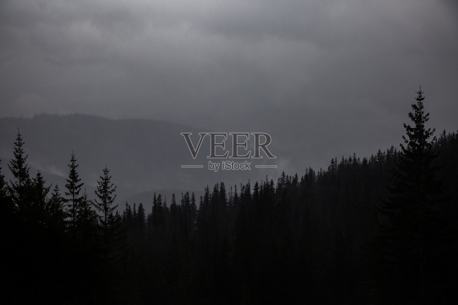 阴郁而沉重的风景，远处是朦胧的地平线。雾气弥漫的阴郁风景，浓密的森林笼罩在雾中。照片摄影图片