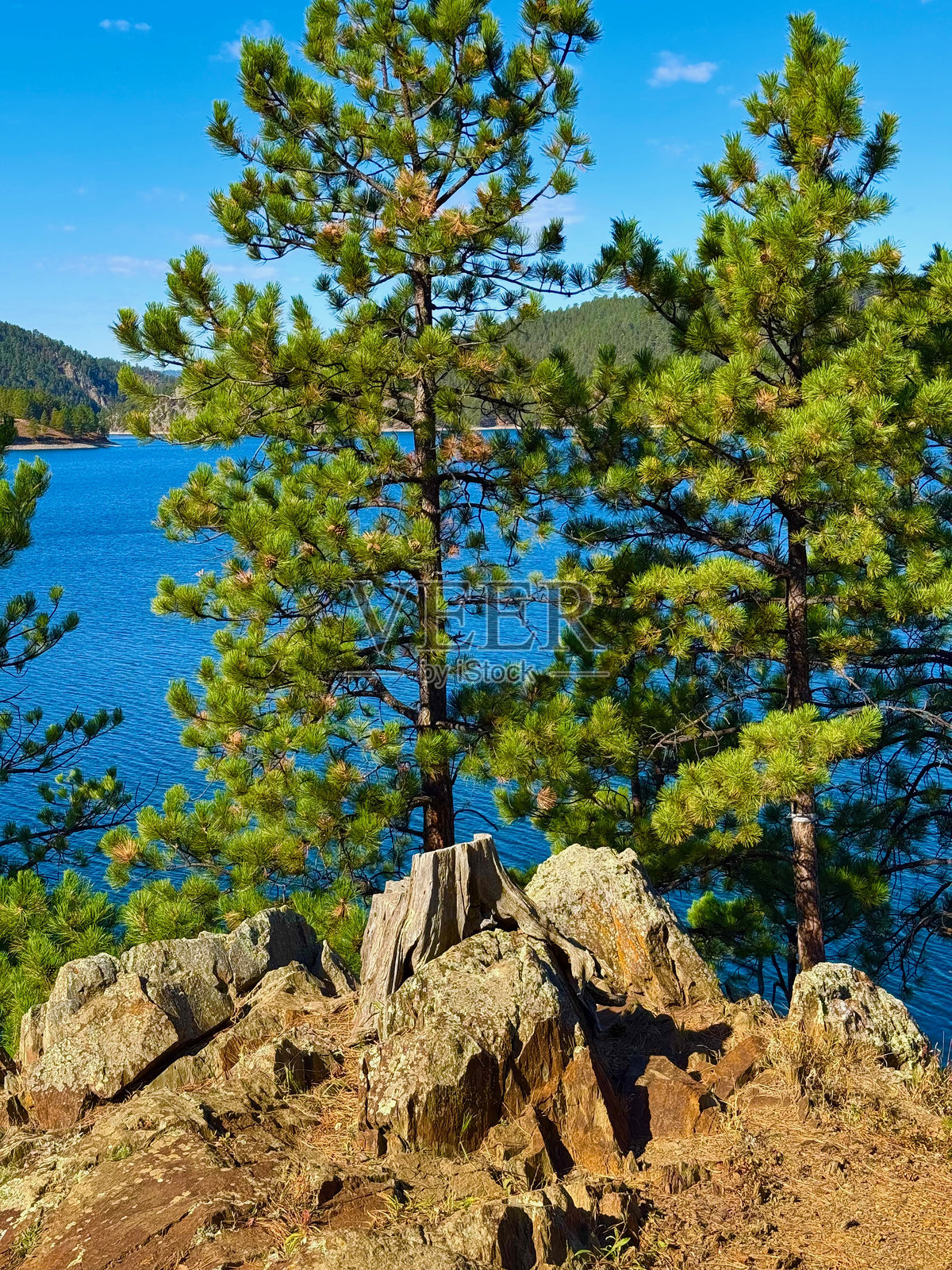 帕克托拉湖，黑山国家森林照片摄影图片