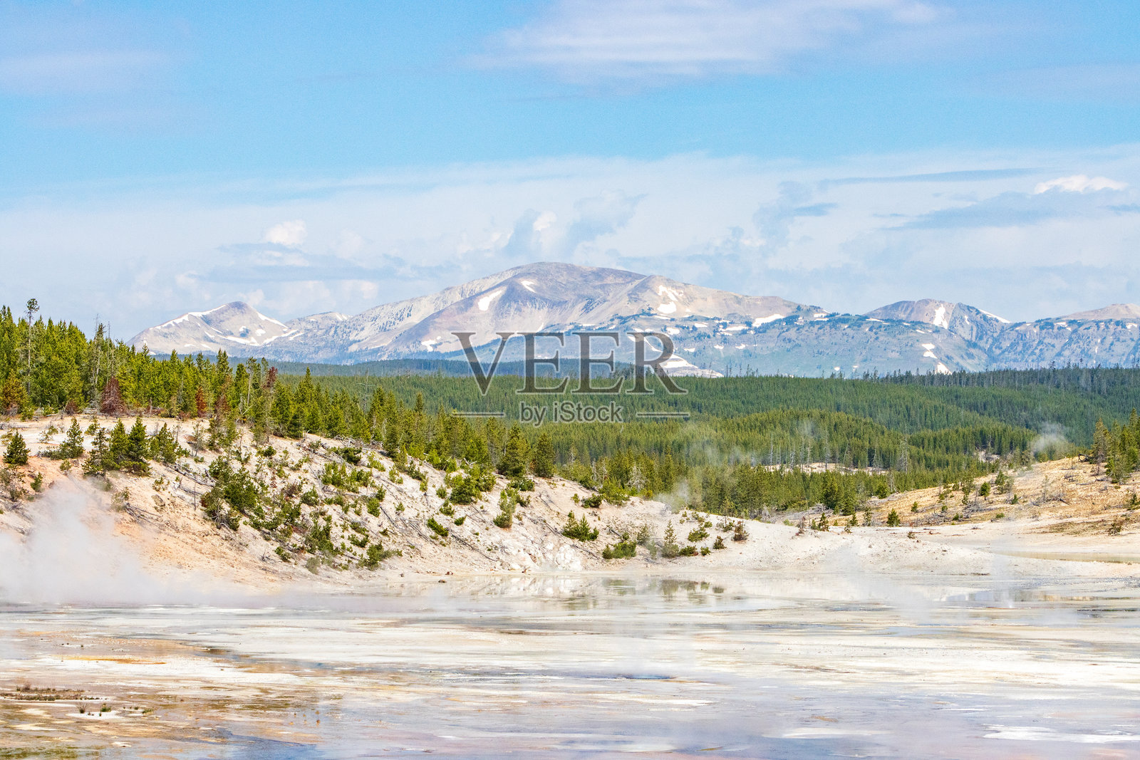 黄石国家公园诺里斯间歇泉盆地的瓷器泉照片摄影图片