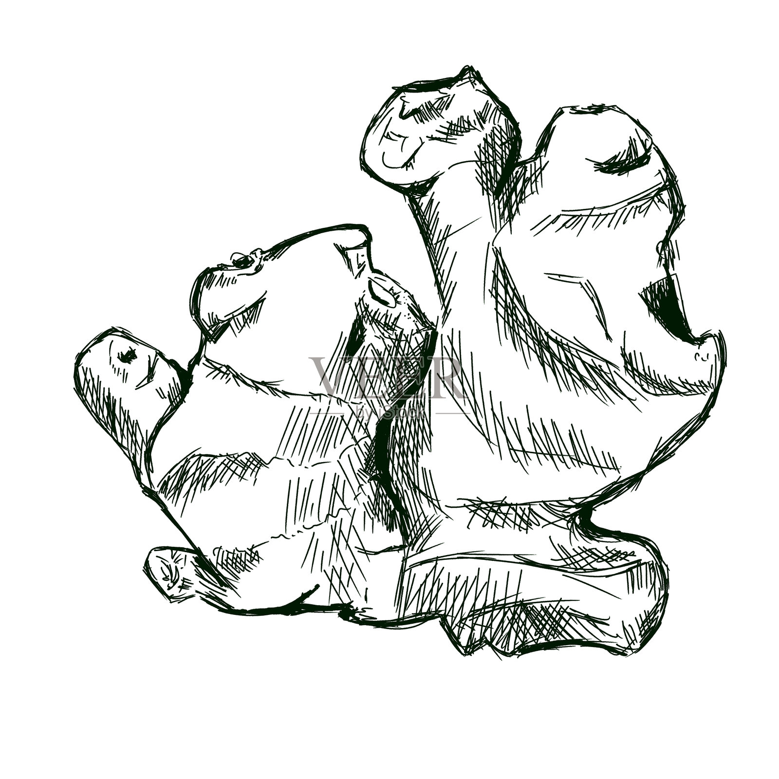 姜根大视图图形黑白插图草图，适用于印刷和网页设计照片摄影图片