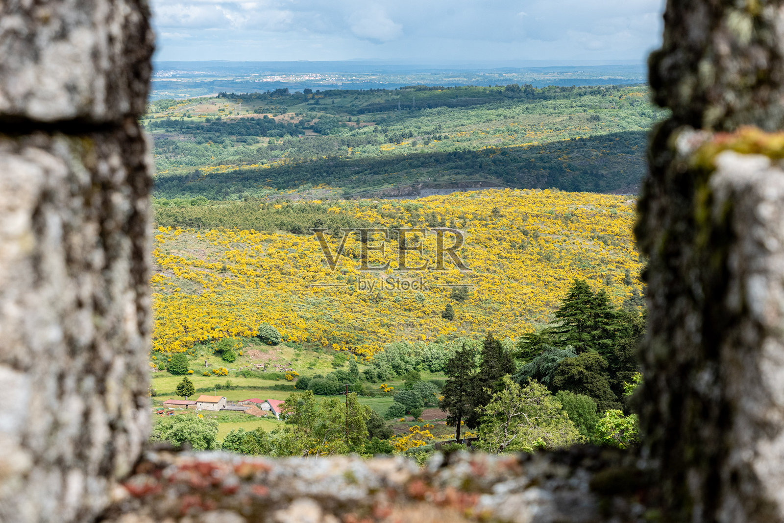 特拉科索城堡的城垛之间俯瞰广阔的乡村景观，黄花盛开。照片摄影图片