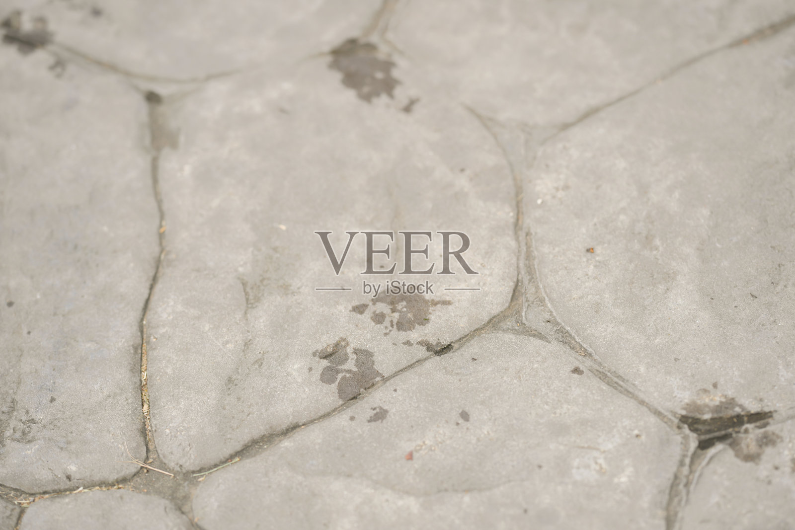 一只可爱的狗在韩国京畿道南扬州市平内洞的河边散步。照片摄影图片