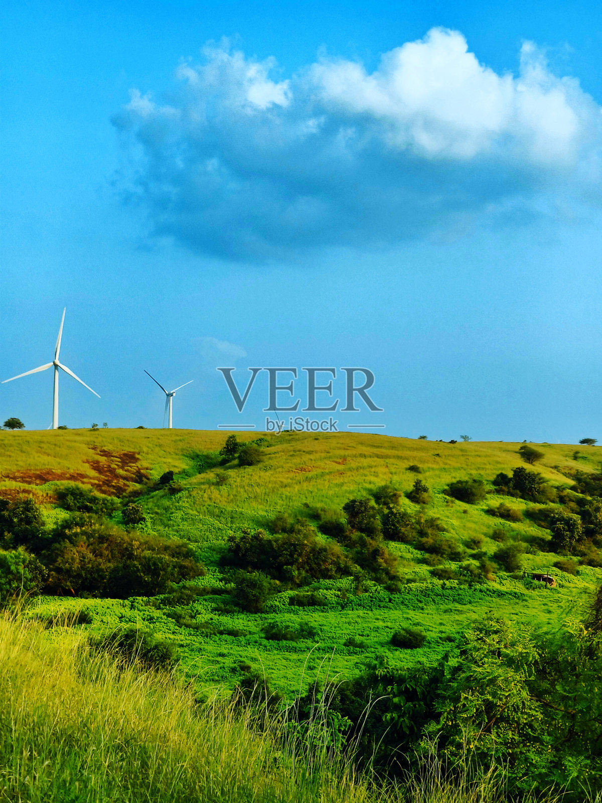 草地的自然风光照片摄影图片