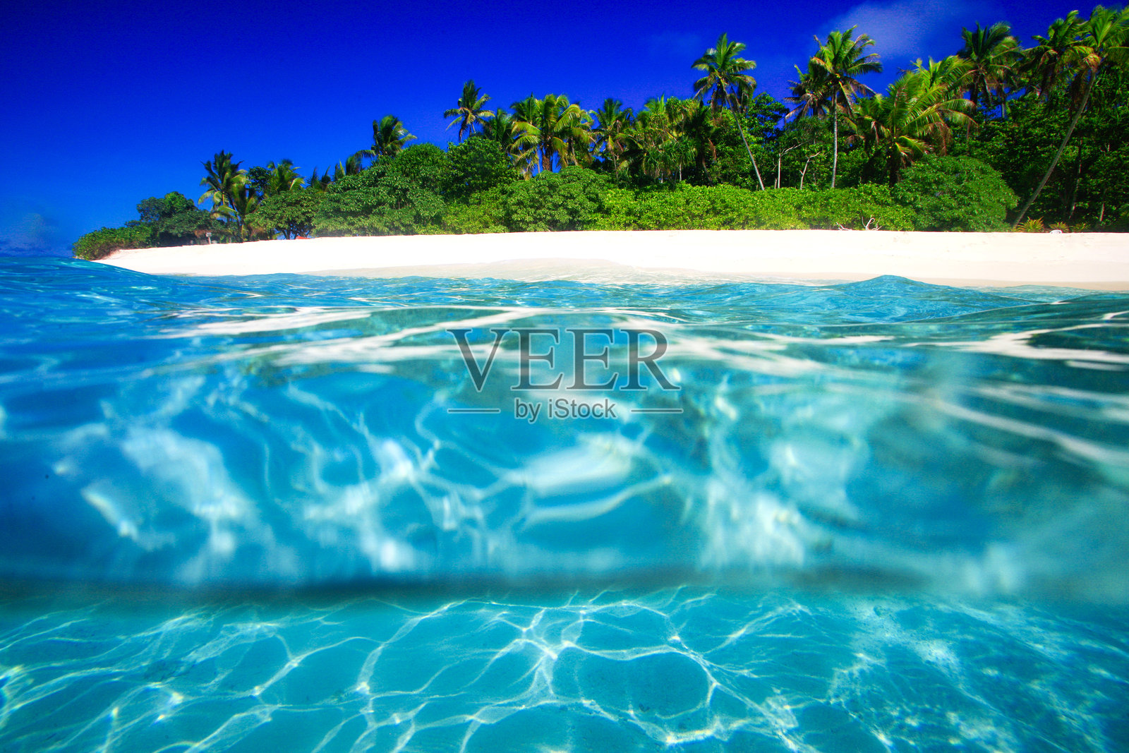 斐济群岛的热带岛屿，拥有天堂般的海滩和棕榈树照片摄影图片