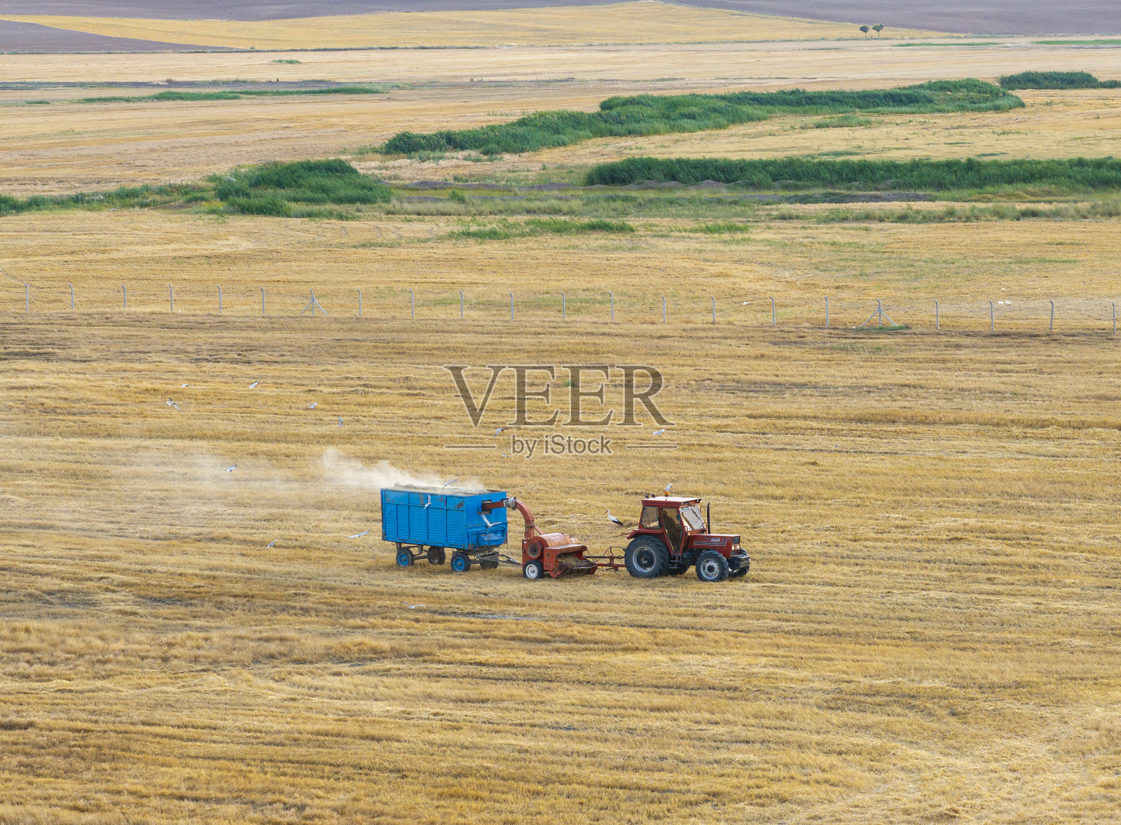 拖拉机在小麦田里作业照片摄影图片