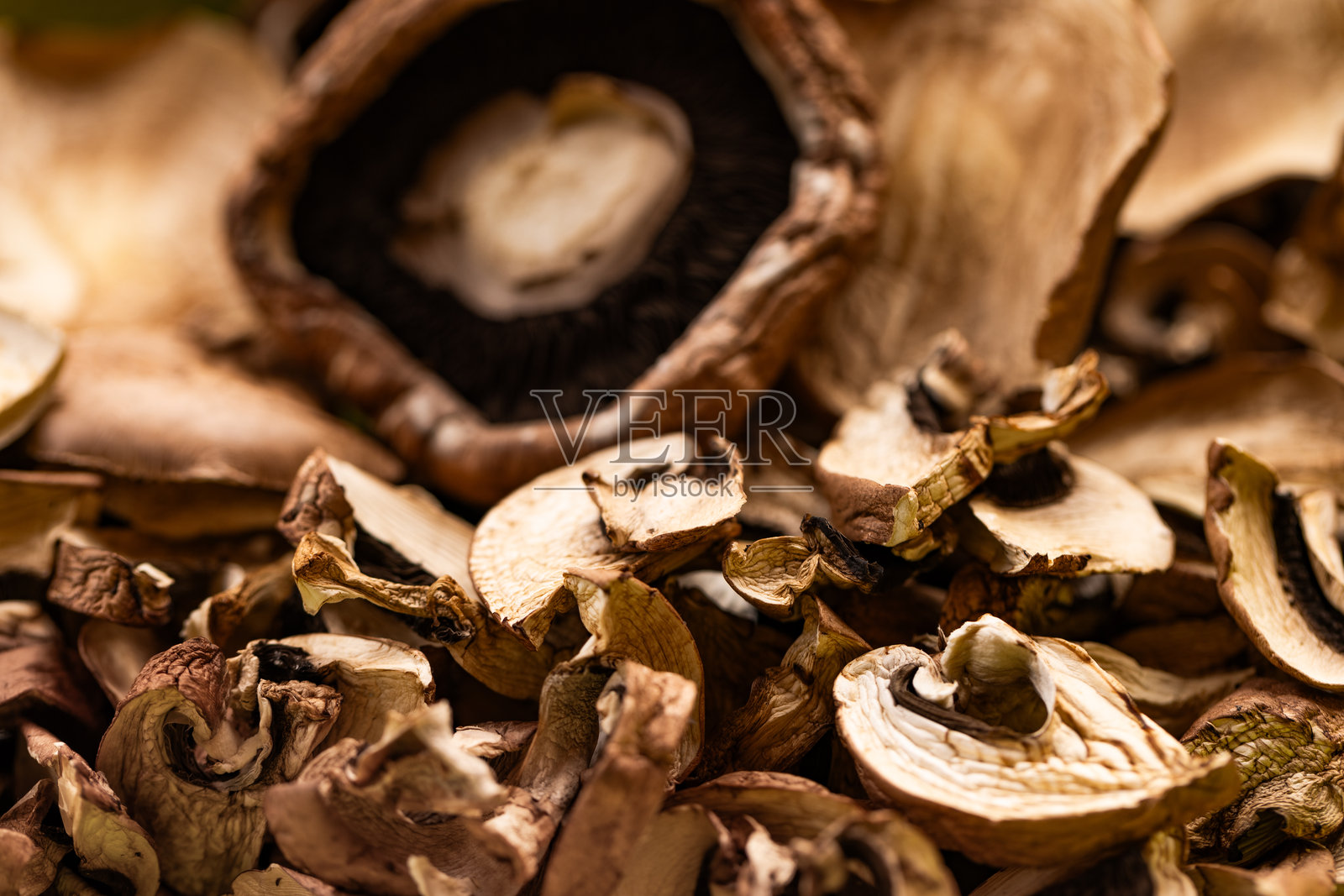 有机干蘑菇照片摄影图片