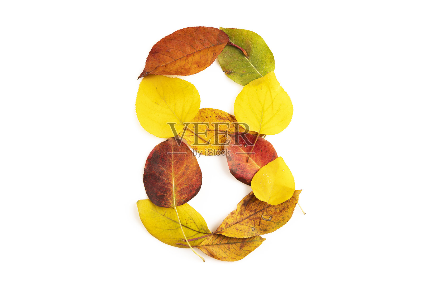 数字8照片摄影图片