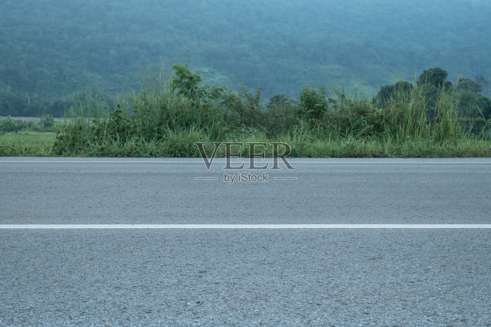 乡村公路的沥青景观，四周环绕着森林。照片摄影图片