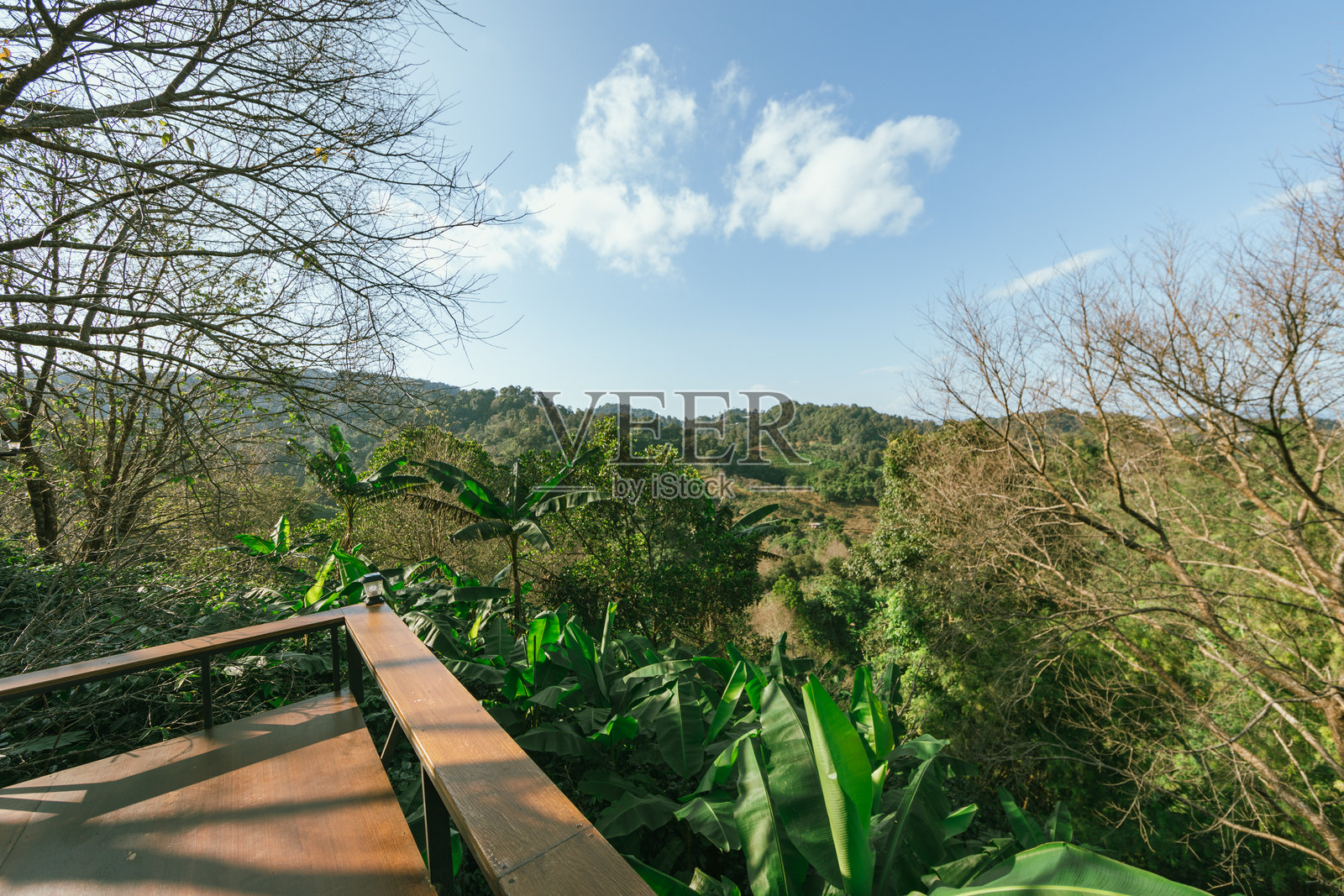 泰国清莱的多伊庞坤照片摄影图片