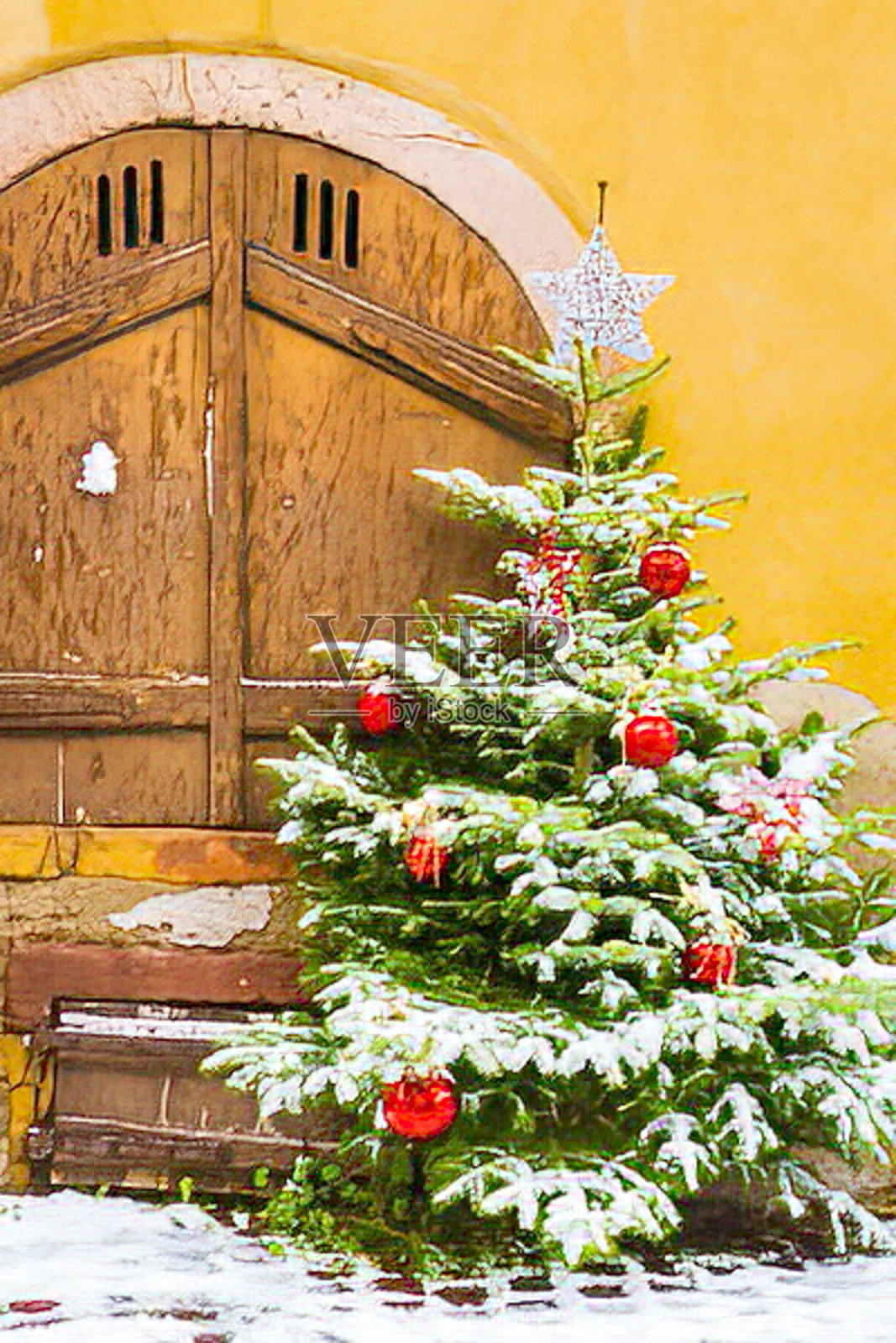 雪-covered 圣诞树照片摄影图片