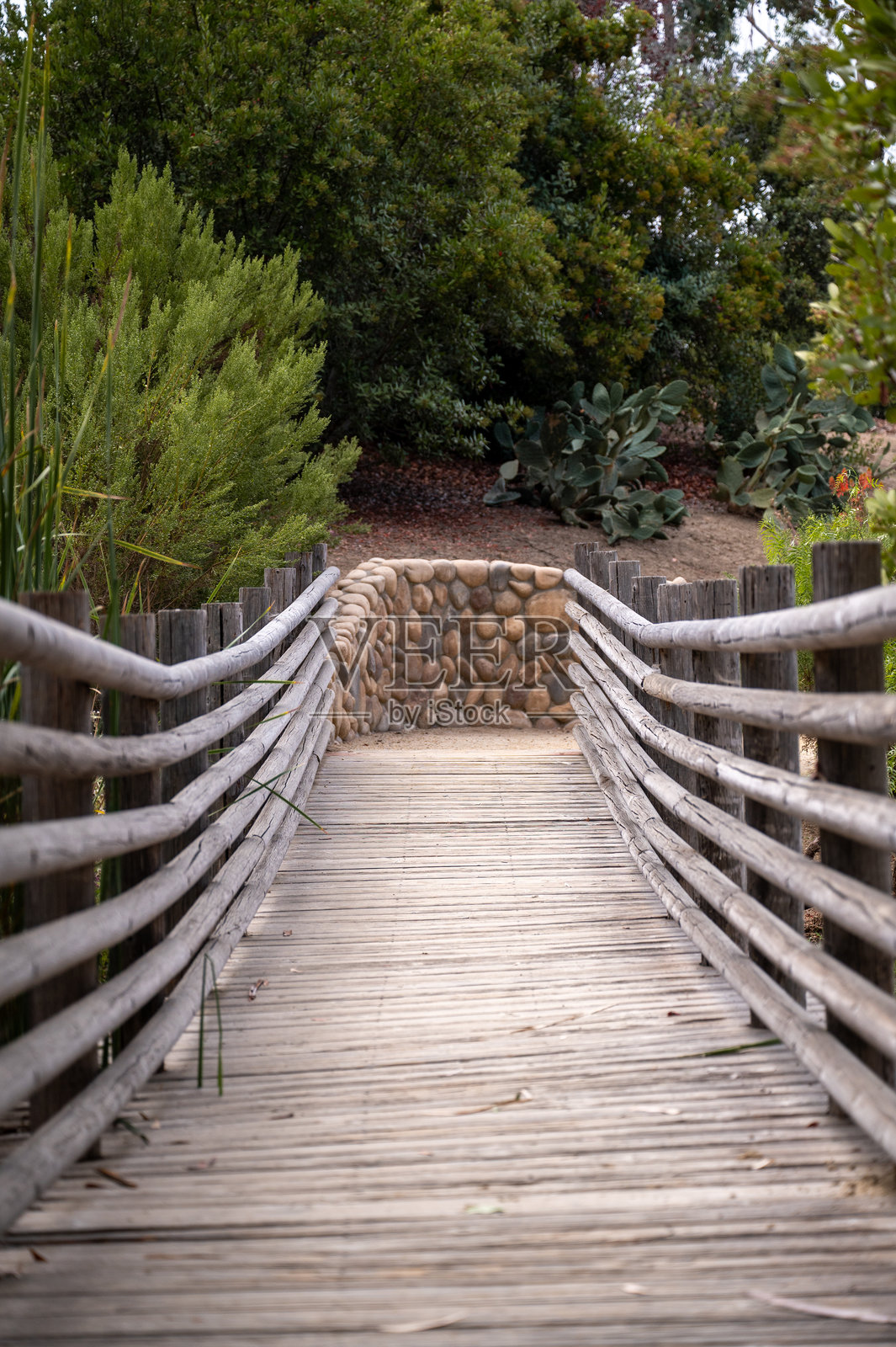 森林地区的木桥照片摄影图片
