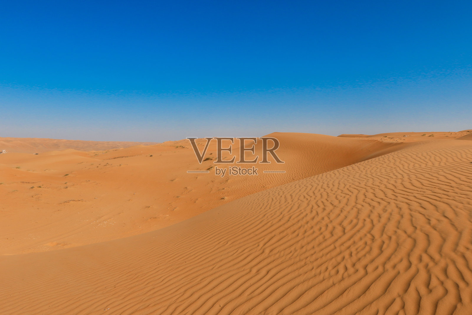 阿曼瓦希巴沙漠的广阔景观，宁静的沙丘在正午的晴朗蓝天下。照片摄影图片