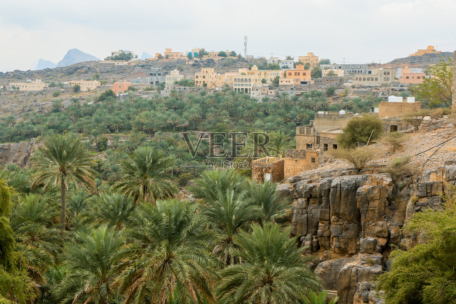 在阿曼的山地风光中，阳光下的传统村庄被棕榈树环绕。照片摄影图片