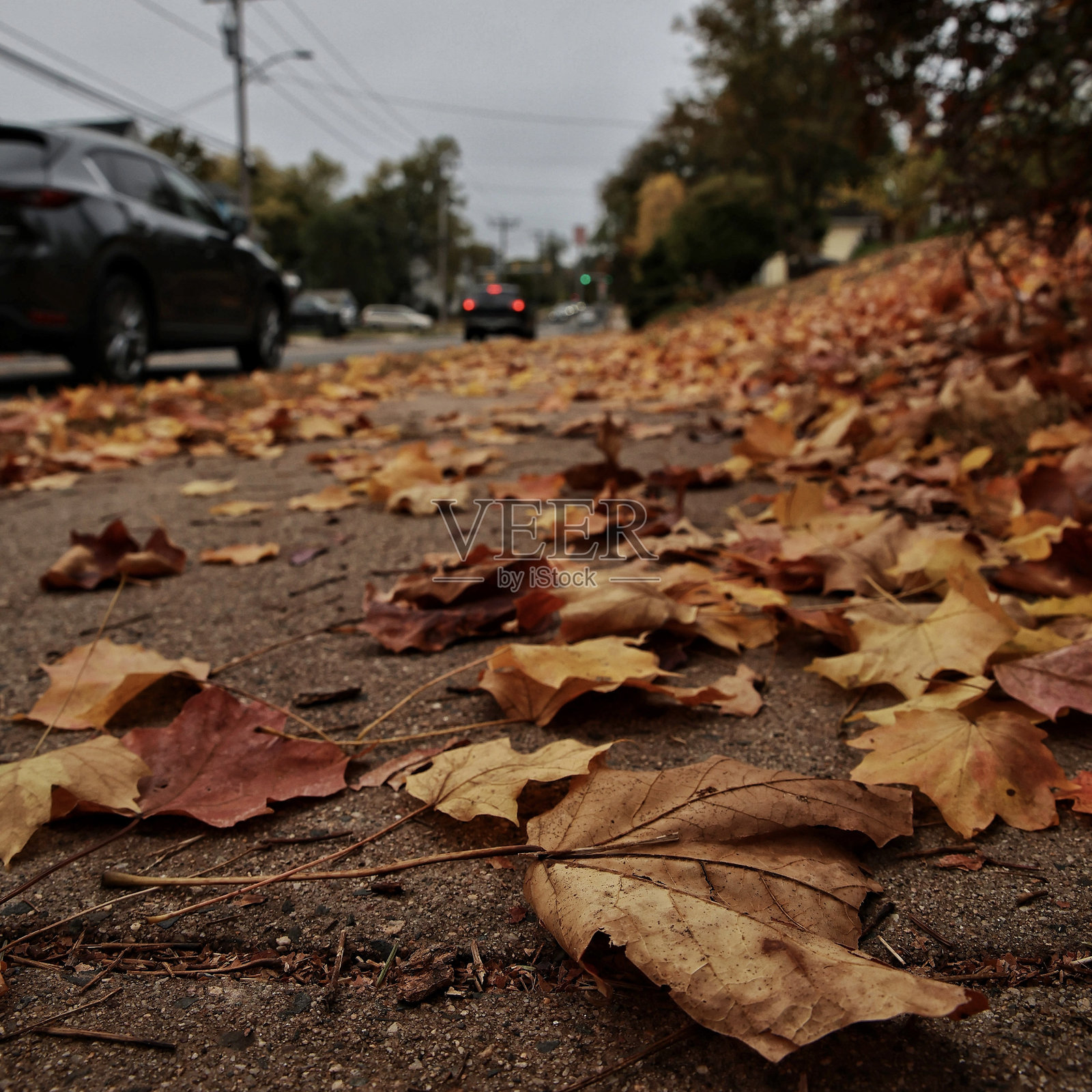 秋天的标志照片摄影图片