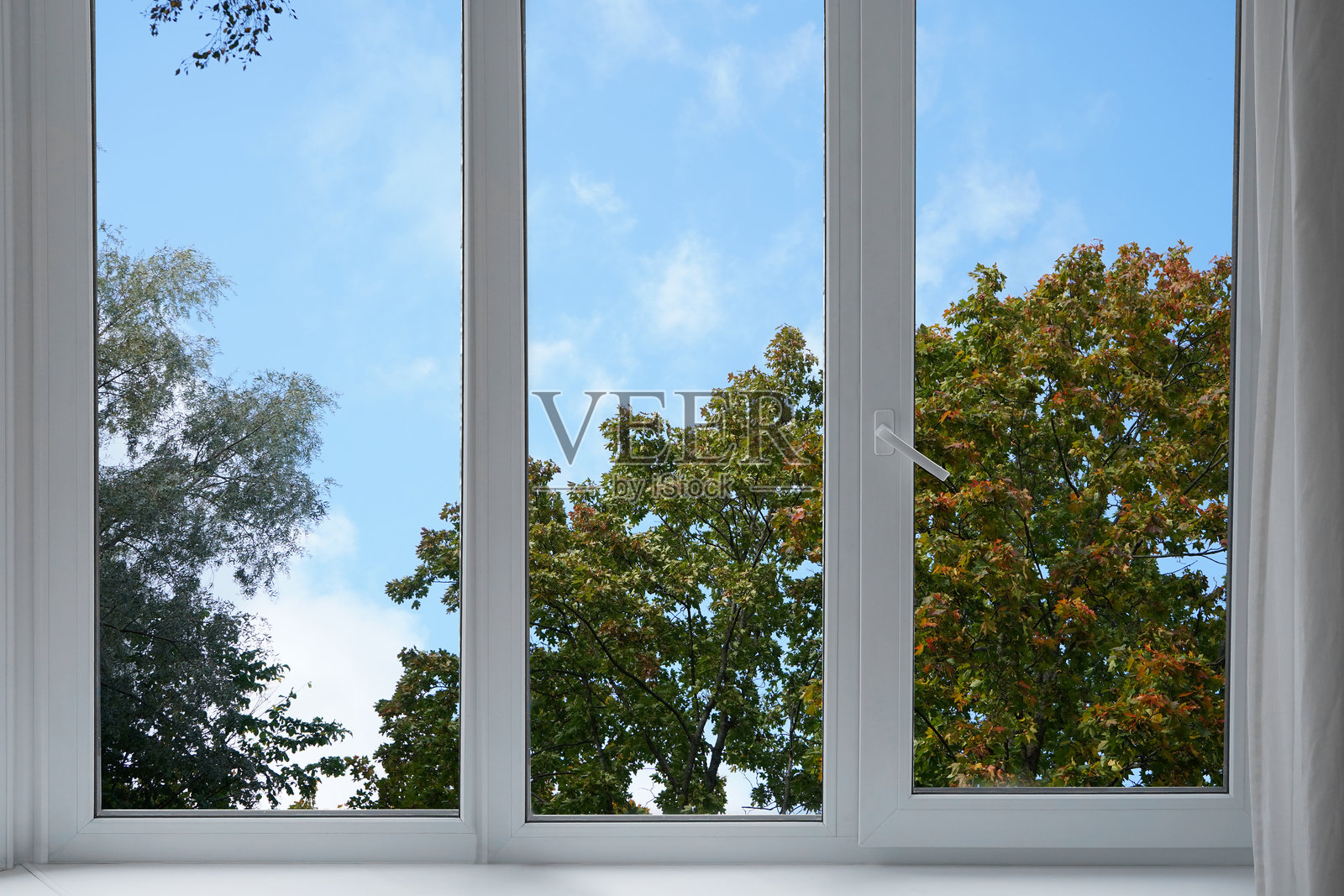 窗外景色，黄色的树木，秋季森林的风景。照片摄影图片