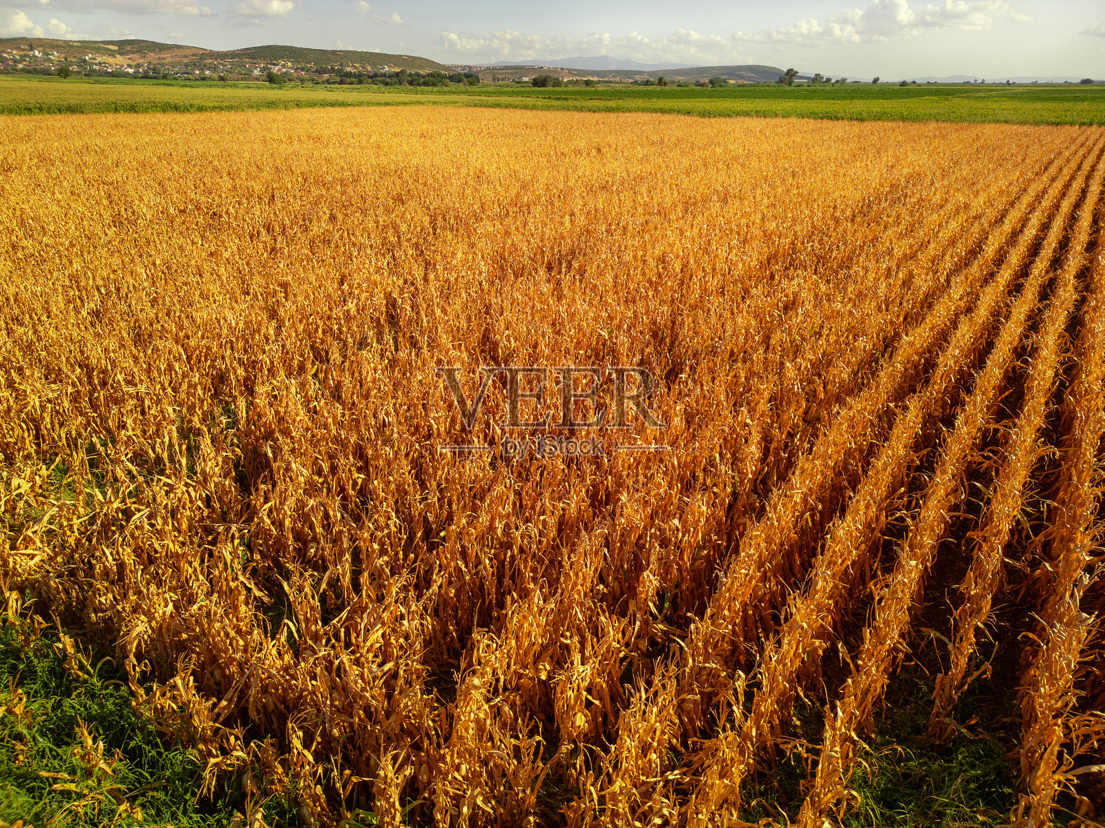 无人机俯瞰收获季节的广阔田野照片摄影图片